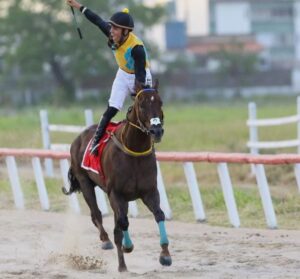 Porto Alegre: Festival GP Bento Gonçalves 2024 terá atrações de cultura e gastronomia, além da tradicional corrida de cavalos