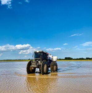 RS: Conab doa sementes de arroz a agricultores atingidos pelas enchentes