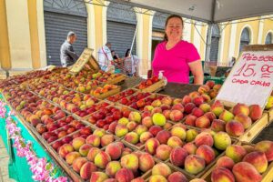 Porto Alegre: Produtores rurais comercializam pêssego, ameixa e flores no Largo Glênio Peres