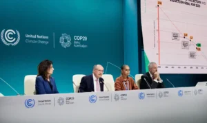 Brasil é segundo país a entregar meta de emissões na COP29