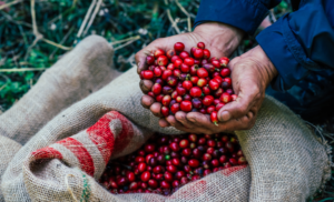 Em outubro, exportações do agro brasileiro batem recorde e alcançam US$ 14,27 bilhões