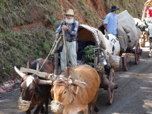 RS: 35ª Carreteada Estadual de Gravataí será nos dias 9 e 10 de novembro