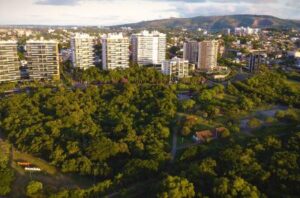 Porto Alegre: Conferência Municipal do Meio Ambiente elegerá 15 delegados para etapa estadual