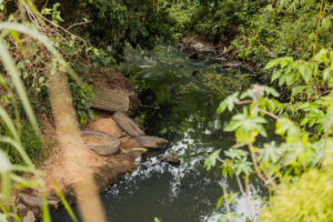 Canoas: Desassoreamento do Arroio Brigadeira será iniciado no bairro Olaria