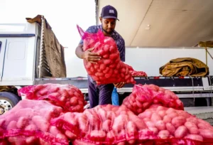 Conab aponta queda de preço da batata e alta da cebola e tomate