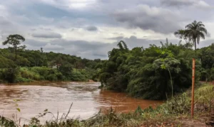 Estudo detecta presença de metais na urina de crianças em Brumadinho. Percentual de arsênio passou de 42% em 2021 para 57% em 2023